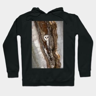 Barn Owl Peekaboo Hoodie